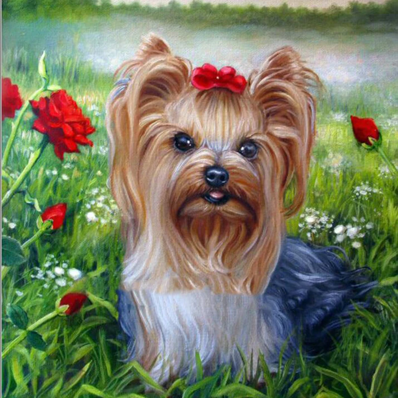 

5D Diamond Painting Cross Stitch Color Spaniel Of Diamond Embroidery 3D Full Square Dill Diamond Animals Dog Decoration