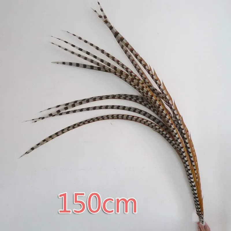 Оптовая продажа Идеальный 20 шт Ривз перья из хвоста фазана натуральный цвет леди