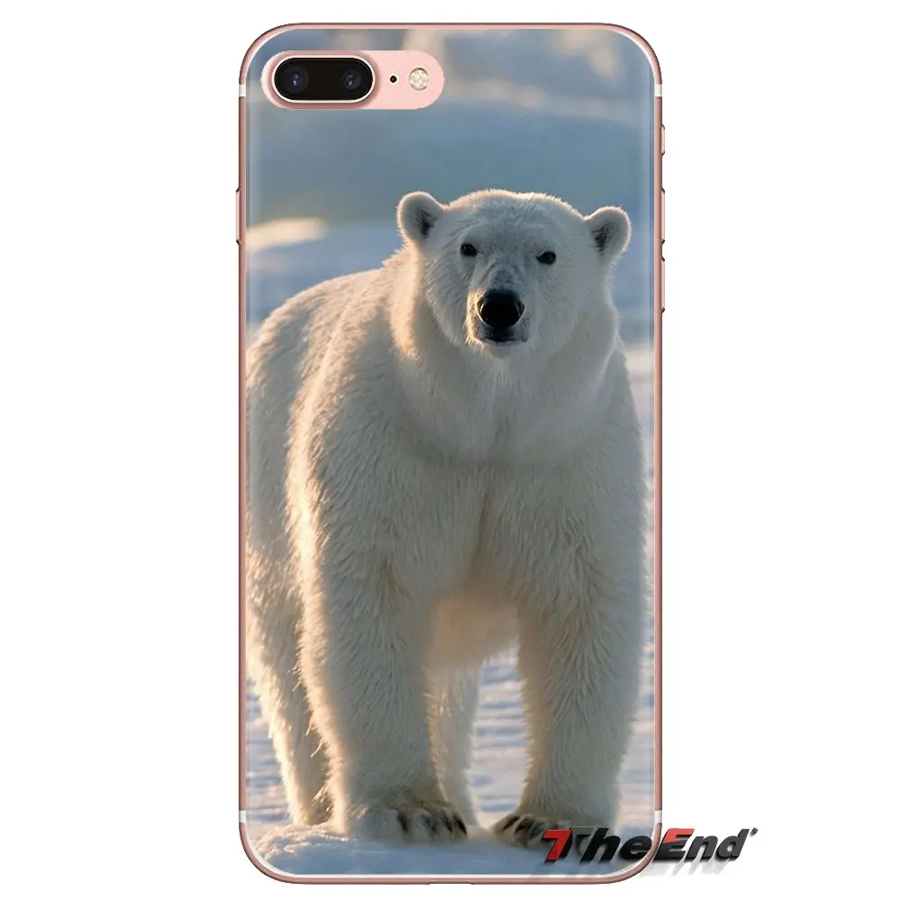 Polar bear in the shore of Alaska Silicone Phone Cases For Samsung Galaxy J1 J2 J3 J4 J5 J6 J7 J8 Plus 2018 Prime 2015 2016 2017 |