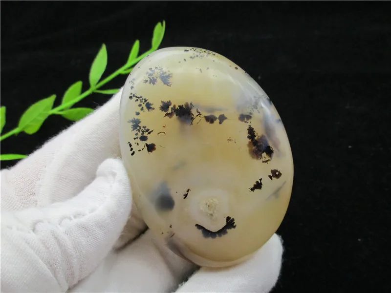 Натуральные полированные водные растения агат кристалл мадагаскарского