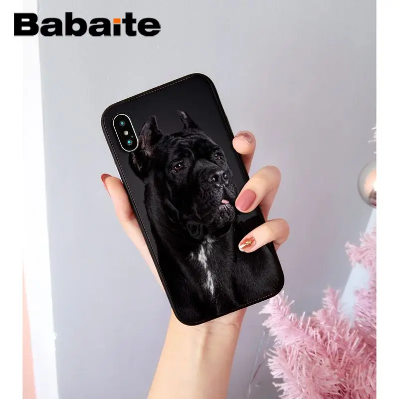 A14 Babaite прекрасный питомец питбуль Новинка чехол для телефона Fundas чехол для iPhone X XS MAX 6 6S 7 7plus 8 8Plus 5 5S XR чехол - Цвет: A14