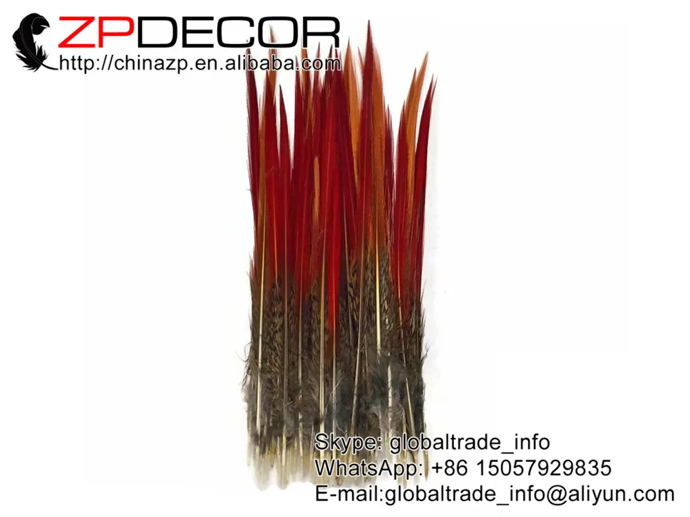 ZPDECOR 8-10 дюймов (20-25 см) 50 шт ручной выбор красивый натуральный Золотой фазан