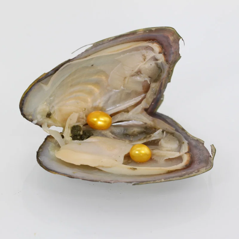 Двойные жемчужные раковины из муслина украшения для вечеринок 20 видов цветов шт.