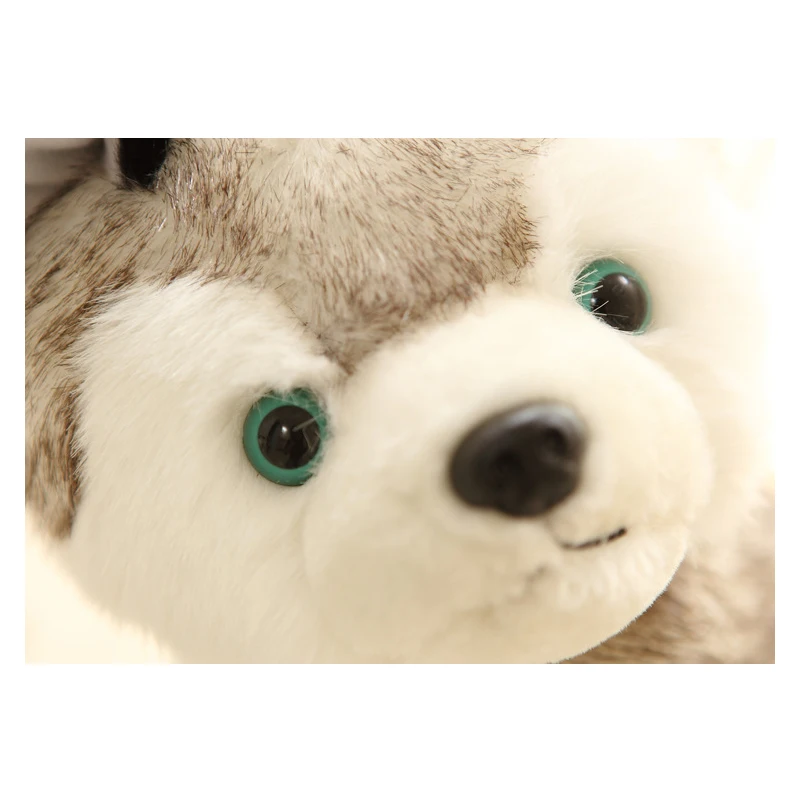 Сибирский хаски плюшевые собаки белые куклы Детские Мультяшные животные игрушки