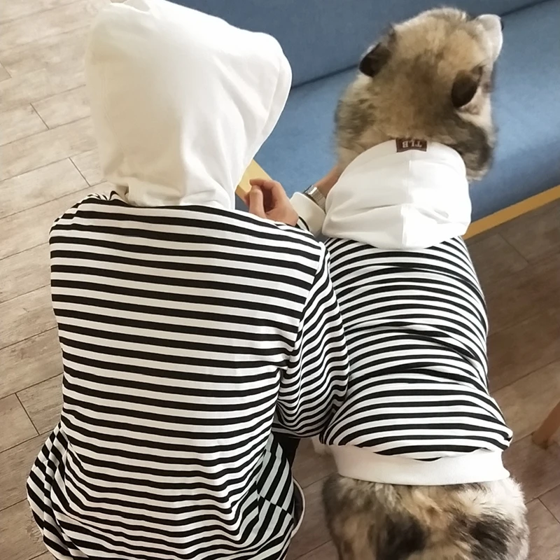 Толстовка с капюшоном для собак, пальто для кошек, чихуахуа, пудель, Бишон, мопс, одежда для собак, золотой ретривер, Аляска, Хаски, Большая одежда для собак, костюм для больших домашних животных