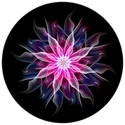 colour 7 Автомобильный держатель для телефона, держатель для телефона, Гибкая подставка, защита от падения, для смартфонов, планшетов, расширяющаяся подставка для iPhone X 8 7 6S - Цвет: colour 7