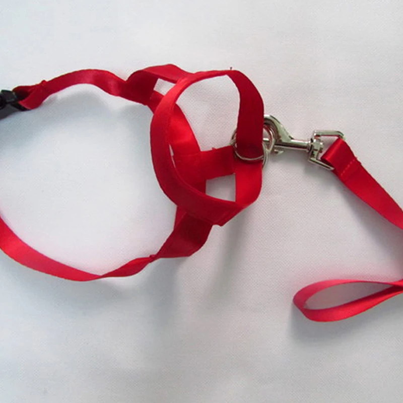 2020 новый нейлоновый ошейник для собак мягкий поводок поводка тренировочный