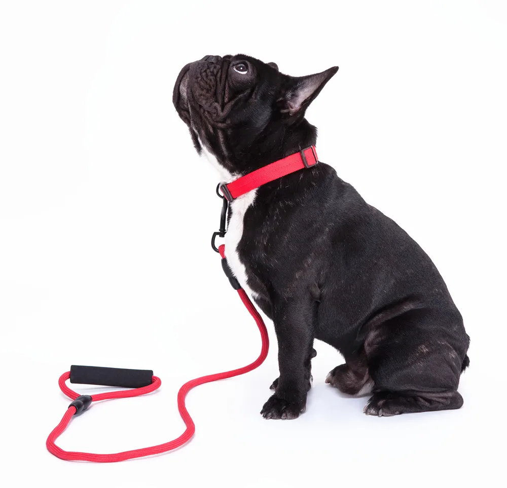 

Товары для домашних животных, для маленьких, средних и больших собак, поводок, шлейка, щенок, домашнее животное, кот, аксессуары, отрывной пов...