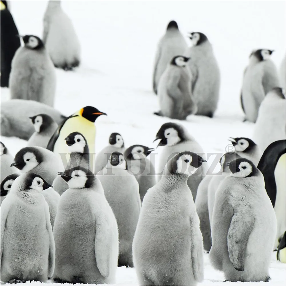 Детская летняя юбка с принтом Пингвин|kids girls skirt|girls skirtsskirt dance |