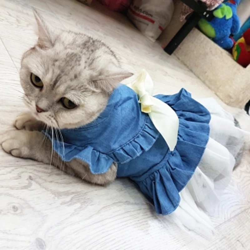 Весенне-летняя джинсовая одежда для кошек; модная куртка для кошек; теплая одежда; милая одежда для кошек; 11a30Q