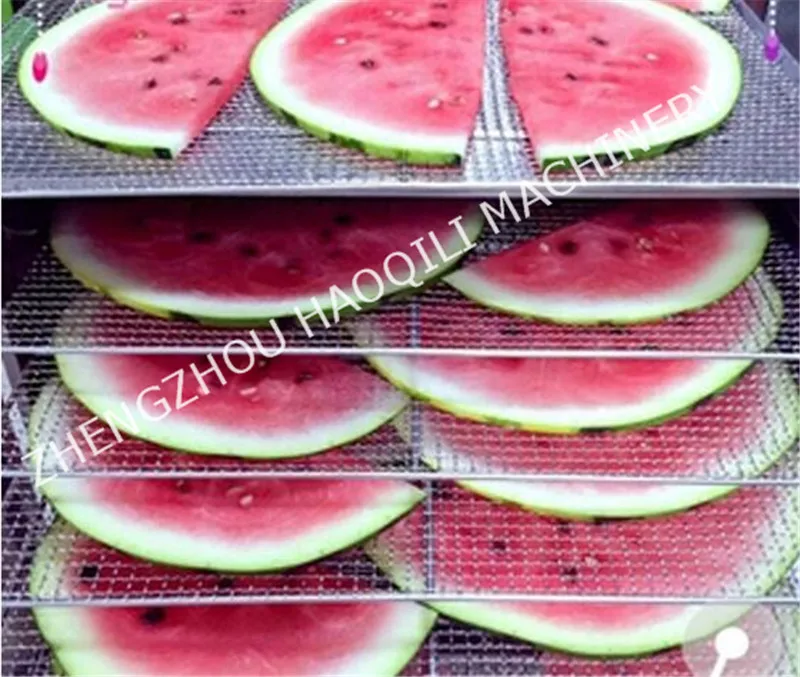 Дегидратор для фруктов овощей трав машина сушки мяса закусок сушилка еды с 10