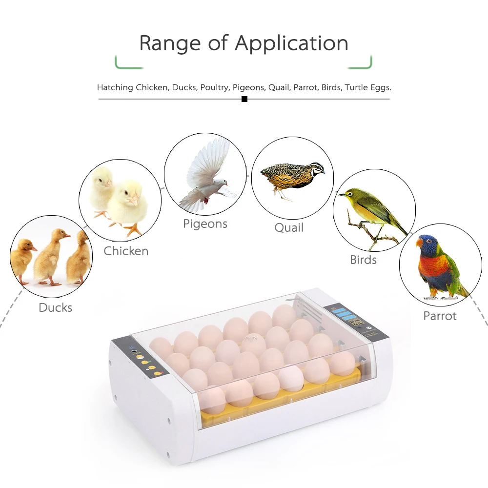 

Интеллектуальный автоматический инкубатор для яиц на 24 яйца, инкубатор с контролем температуры для курицы, утки, перепелов, птицы
