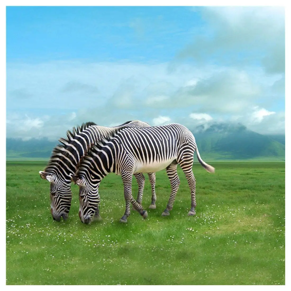 3x5ft Фон фотографии Зебра едят траву индивидуальные винил фото Задний план студии