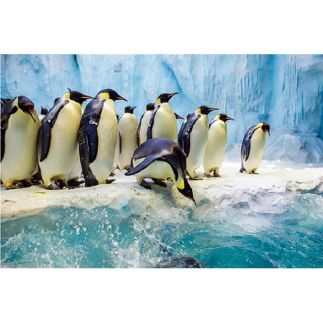 Алмазная картина Пингвин 3d Диаманд комплет | Дом и сад
