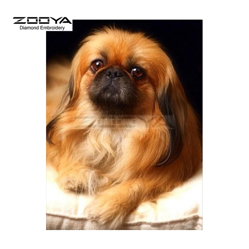 ZOOYA Алмазная вышивка 5D DIY алмазная живопись милая собака животное крестиком