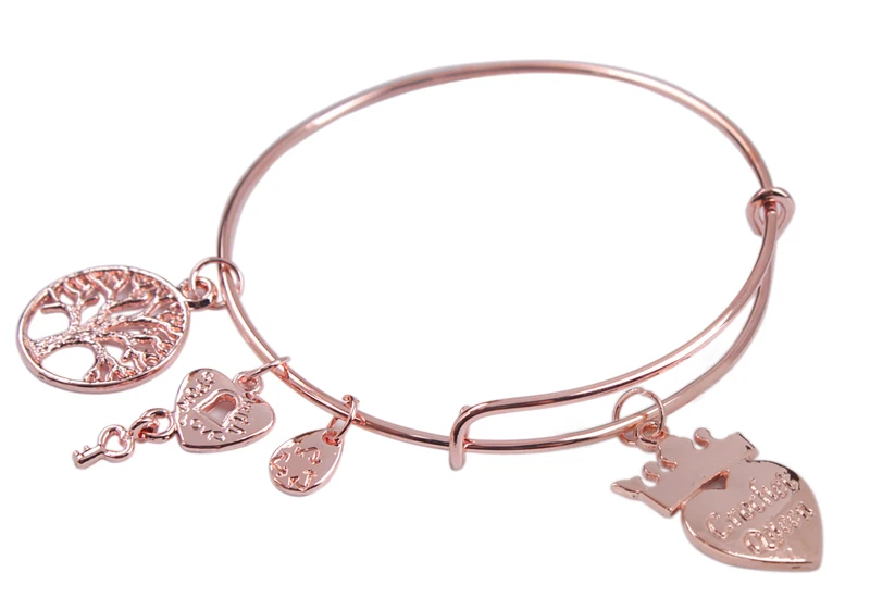 1 шт. мода розовое золото плиты расширения провода браслет бесплатная доставкак |