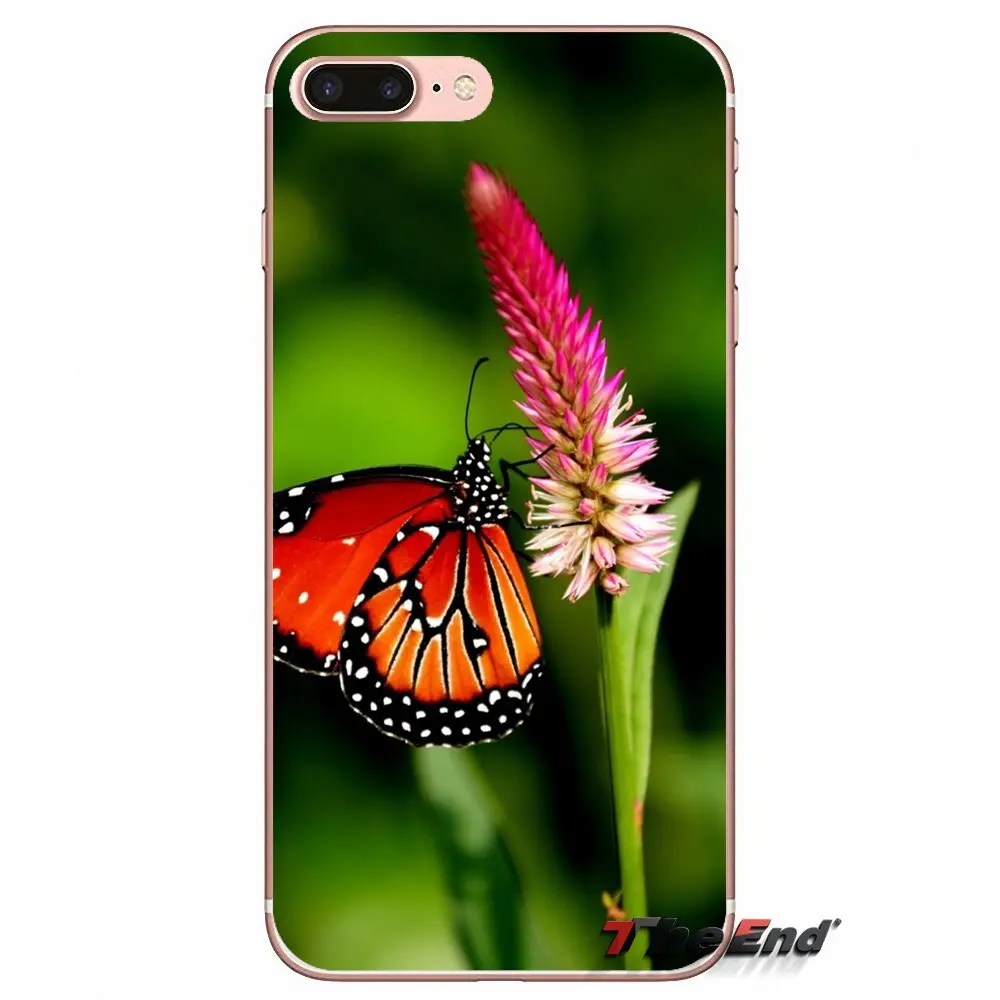 For Samsung Galaxy S2 S3 S4 S5 MINI S6 S7 edge S8 Plus Note 2 3 4 5 Grand Core Prime Amazing butterfly pattern ultra thin case | Мобильные