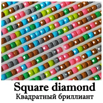 Фото на заказ Алмазная Вышивка Полный Круглый или квадратный кристалл Алмазная Картина Вышивка крестом Алмазная мозаика наборы подарок на день рождения - Цвет: Square Diamond