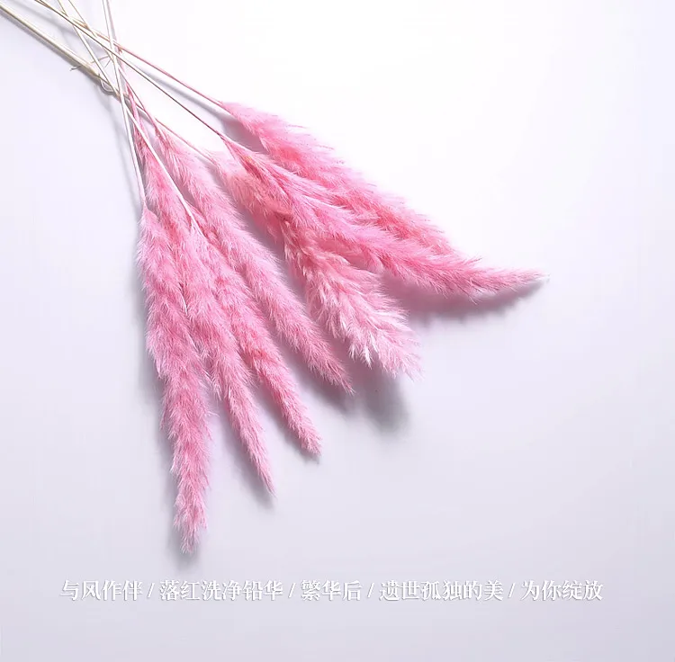 pink 50 см натуральные высушенные цветы из булраша, ветка "сделай сам", цветы-спешки, свадебные украшения для дома, вечерние, для офиса - Цвет: pink