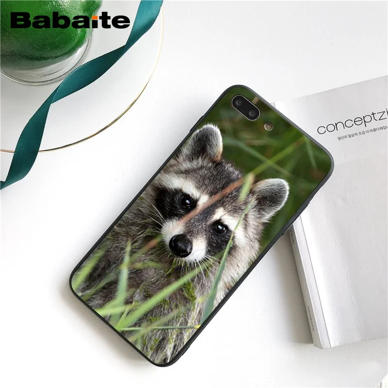 Babaite модный енот красная панда лиса чехол для телефона для iphone 11 Pro 11Pro Max X XS MAX 6 6s 7 7plus 8 8Plus 5 5S SE XR
