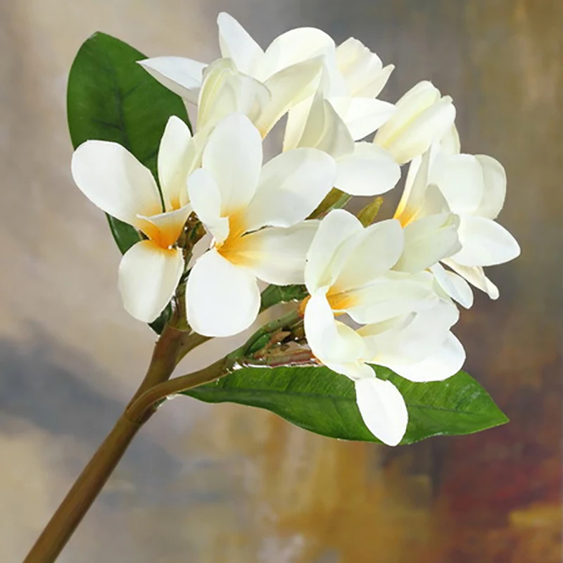 6 шт. белый французский 37 см длина Плюмерия кумината букет искусственных цветов