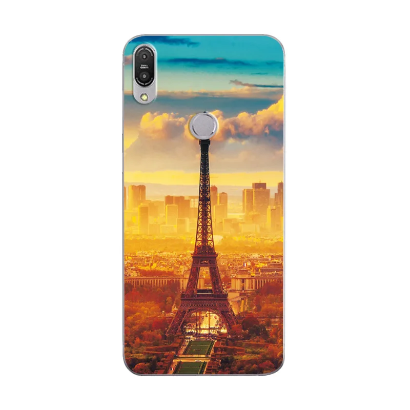 Z55 Для ASUS Zenfone Max Pro M1 ZB 602KL случай Scape различные телефонные чехлы MaxPro M1 ZB602 KL задняя крышка Fundas Capa ZB602KL - Цвет: Z55