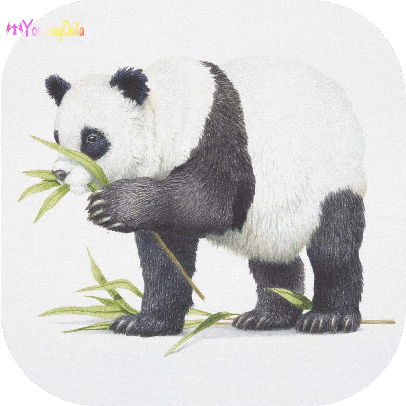 Капля клея модная подушка безопасности держатель для телефона розетка