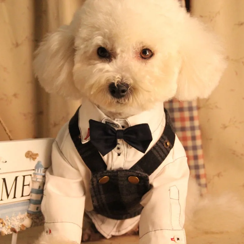 Комплект из 2 предметов галстук бабочка для собаки щенка медведь игрушки одежда