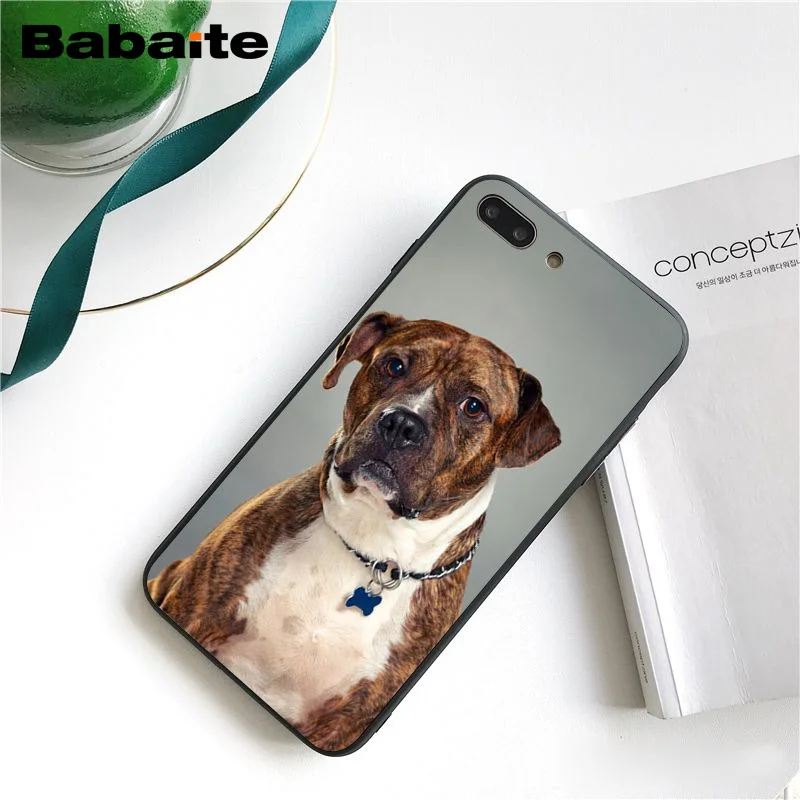 Питбуль прекрасная собака защитный чехол для телефона Fundas iphone 12 11 Pro Max 8 7 6 6S Plus X XS
