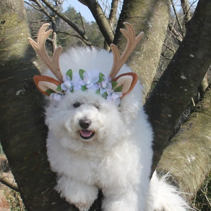 Рождественские шапки для домашних животных рога обруч на голову сувениры украшения маленьких собак