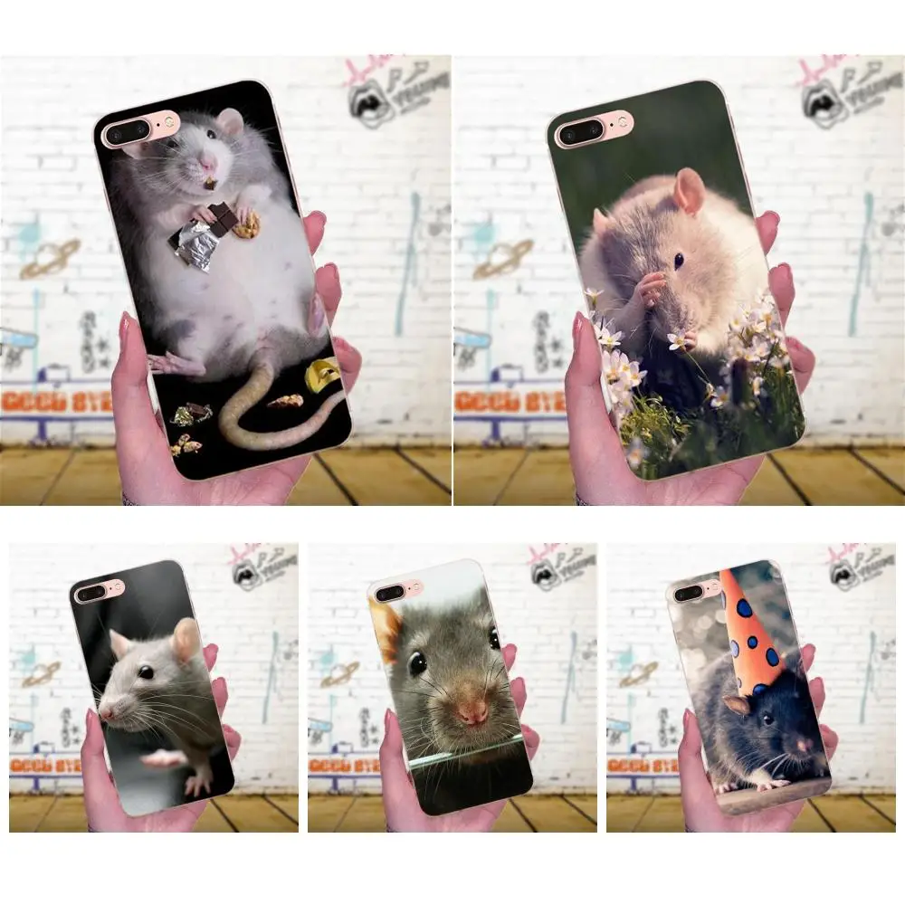 Новые чехлы для телефонов Galaxy J1 J2 J3 J330 J4 J5 J6 J7 J730 J8 2015 2016 2017 2018 mini Pro милые животные
