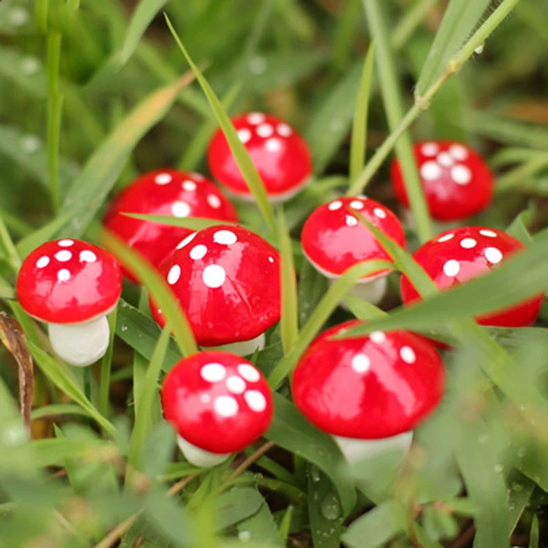 

50 Pcs 2cm/3cm Artificial Mini Red Mushroom Miniatures fairy garden moss terrarium kawaii Decorations Stakes Craft For Home