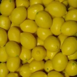 Бесплатная доставка! 2 шт./лот резиновый лимон-волшебный трюк сценическая магия