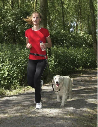 Бесплатная доставка нейлон сильные руки собаки поводок животное ведет для бега