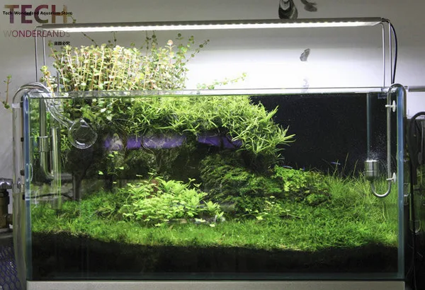 Кронштейн из нержавеющей стали для подсветки аквариума|bracket pump|bracket flashsteel angle bracket