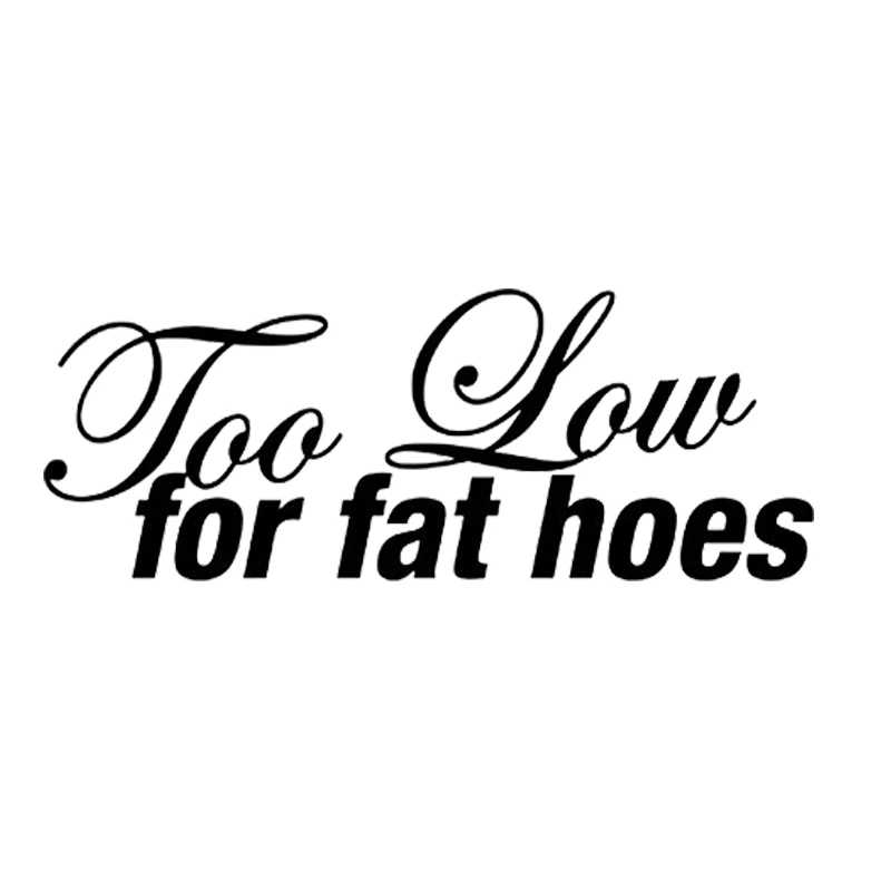 Виниловая наклейка для окна автомобиля с надписью Too Low For Fat Hoes JDM | Автомобили и