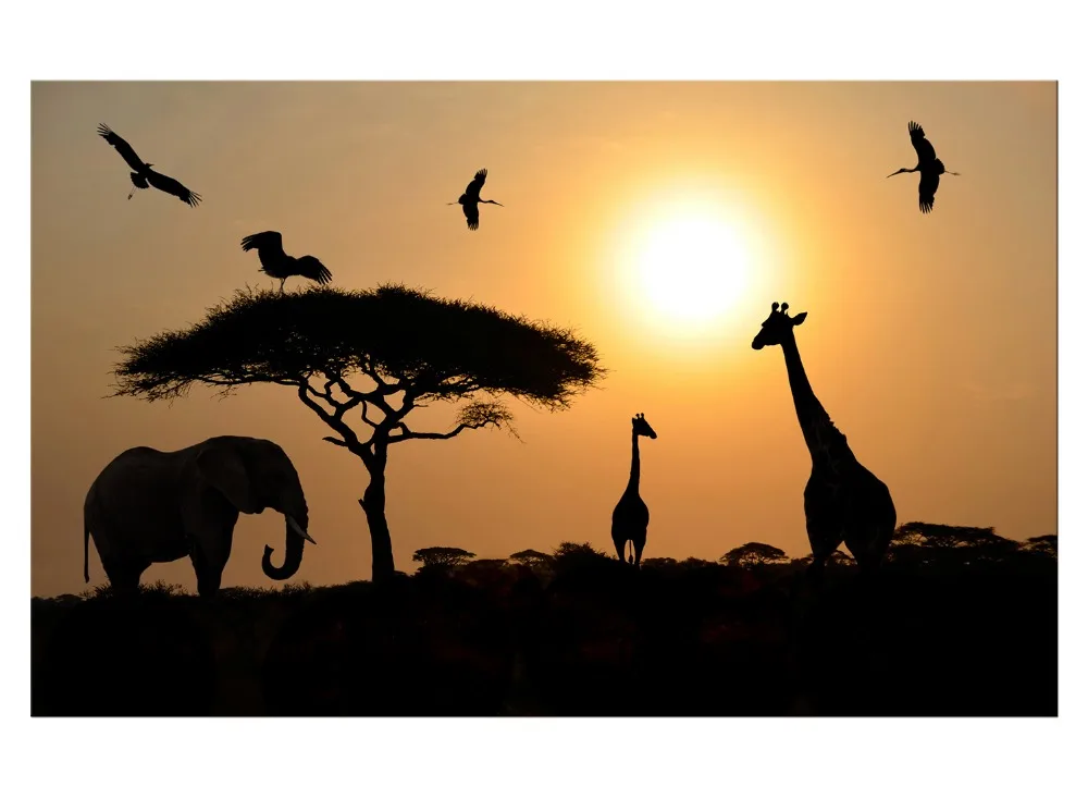 1 панель Бесплатная доставка слон для отдыха прогулка на закате семейное