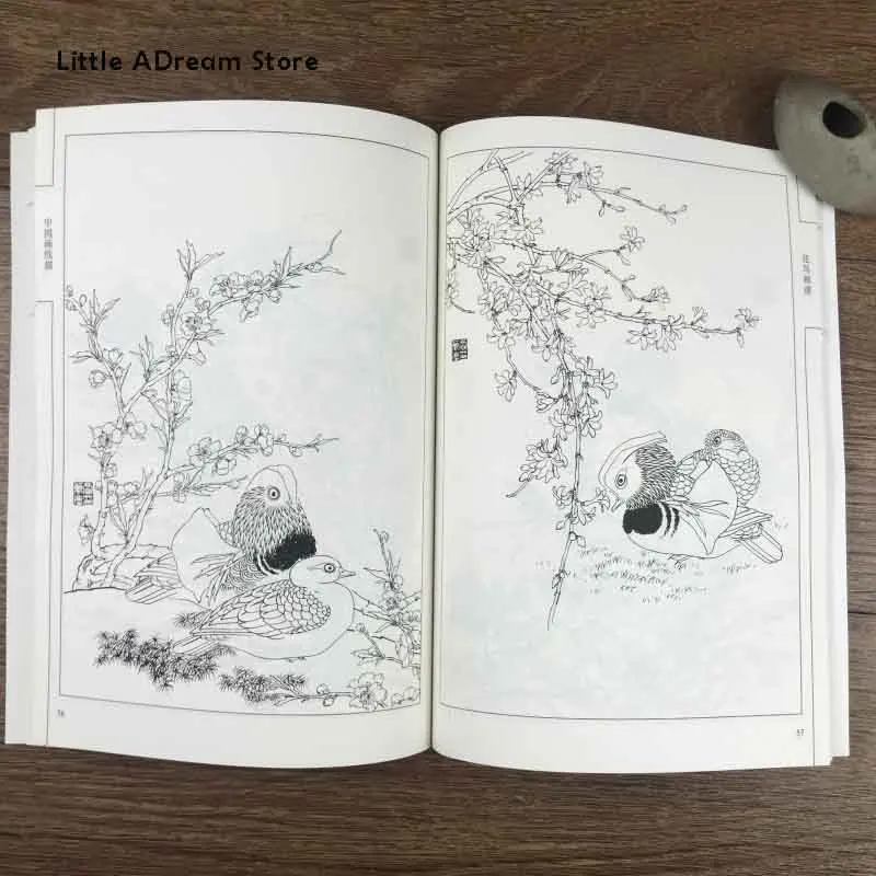 Chinese Line Drawing Flower and Bird Painting Spectrum Book / Traditional Gong Bi Bai Miao Art Textbook |