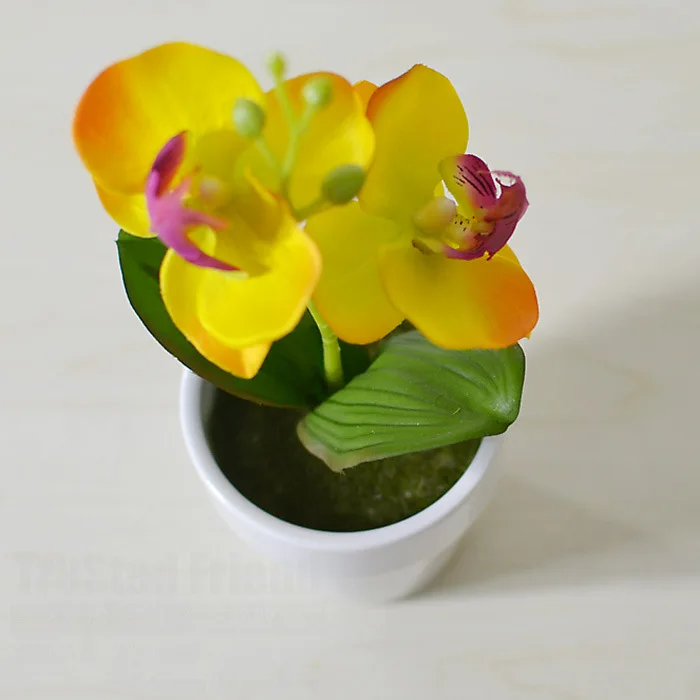 Дешевая международная торговля, высококачественный цветок из искусственного шелка, искусственные цветы, свежий четырехцветный керамическ... от AliExpress RU&CIS NEW
