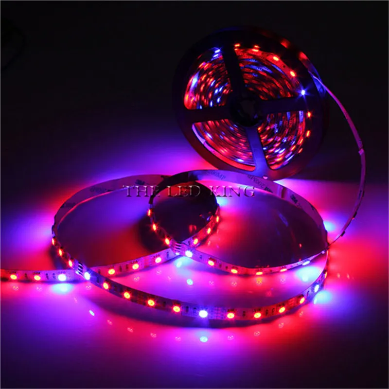 Светодиодная лента 60 светодиодов/м 5 м 300 светодиодов|Промышленные LED-лампы| |