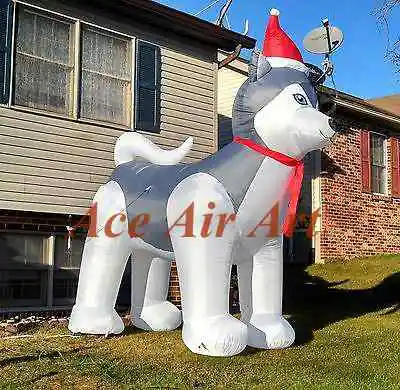 

10ft holiday air blown husky dog Christmas inflatable wearing santa hat dor Christams yard decoration