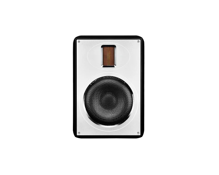 HIVI Swans RH6HT Система домашнего кинотеатра главный HiVi RH6F центр Surround RH6R передний