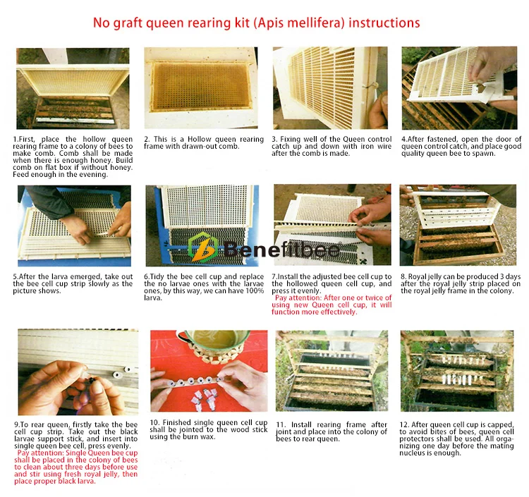 Пчеловодная королева Rearing system пчела королева Rearing для Apis Mellifera горячая Распродажа высота quatlity