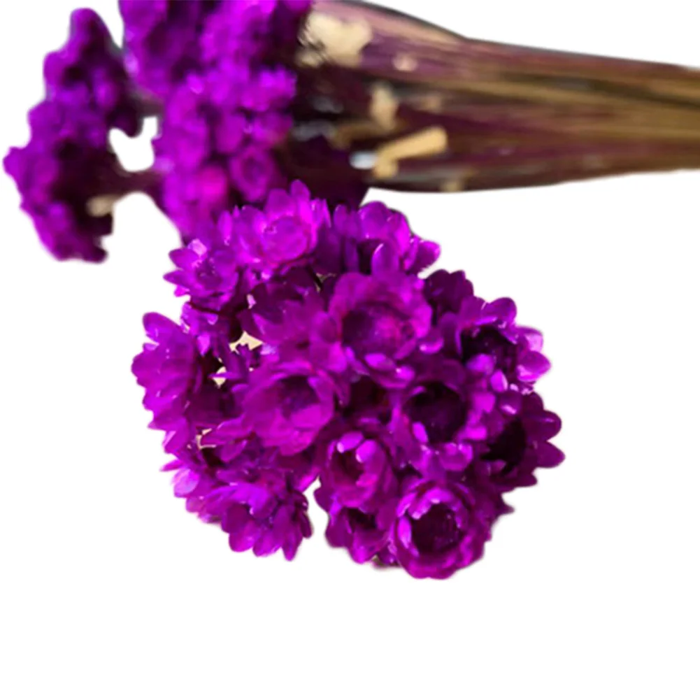 Rose Purple Искусственные цветы ромашки искусственные цветы для украшения дома MF999 - Цвет: Rose Purple