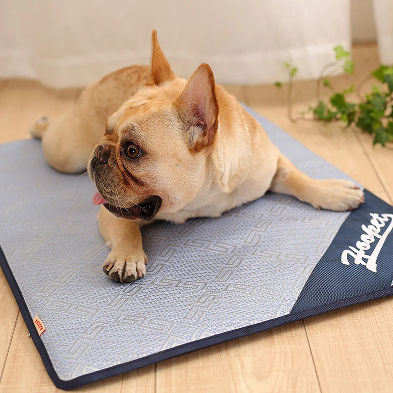 

Summer Cooling Mats Blanket Ice Pet Dog Bed Sofa Portable Tour Camping Yoga Sleeping Mats For Dogs Cats Pet Accessories Supplies