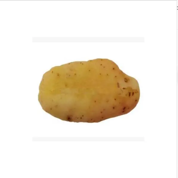 Potato Игрушка для домашних животных, плюшевая, на холсте, игрушки для укусов, кошачья кошка, собака, цит, вокал, креативное моделирование, растительная куриная кость, игрушка для жевания, скрип, игрушка 40 A1 - Цвет: Potato