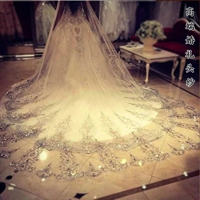 

3.5 Meters Long Cathedral Train Wedding Veil Chic Lace Bridal Veil Appliques Lace Edge Wedding Accessoriess Custom made