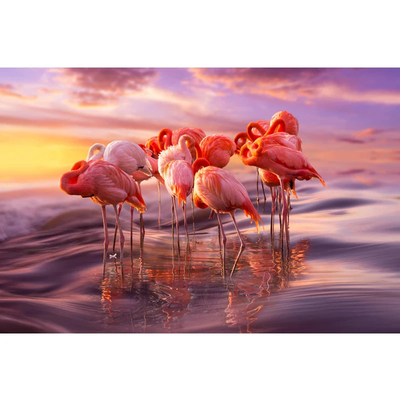 

Beautiful flamingo diamond Embroidery diy diamond painting mosaic diamant painting 3d cross stitch diamond pictures H243