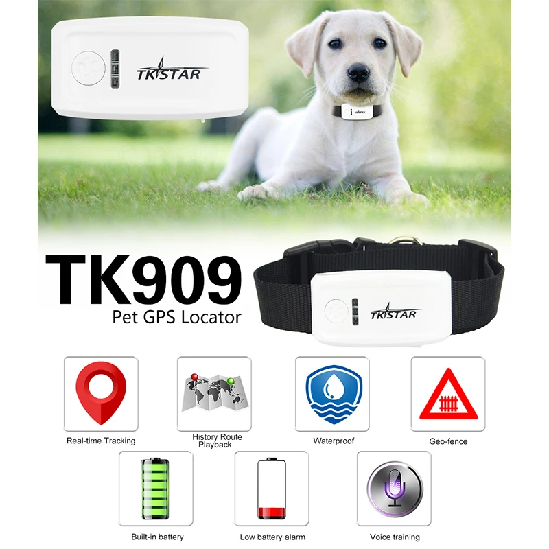 TK909 Детский gps трекер для домашних животных, Глобальный мини gps трекер для домашних животных, водонепроницаемый длинный аккумулятор, gps локатор