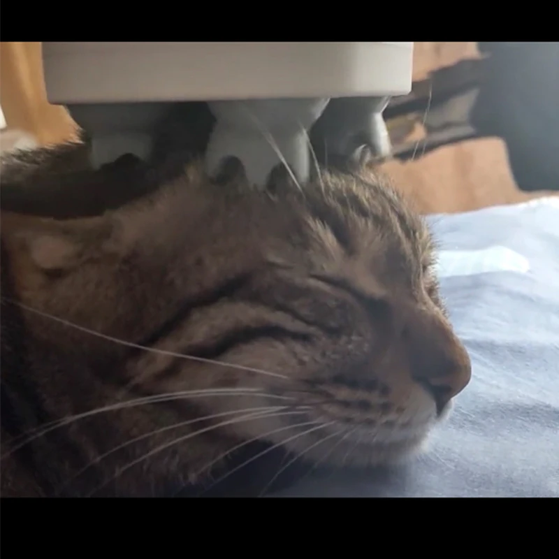 Массажер для кошек и собак Saim автоматический USB массажер с когтями зарядкой|Уход